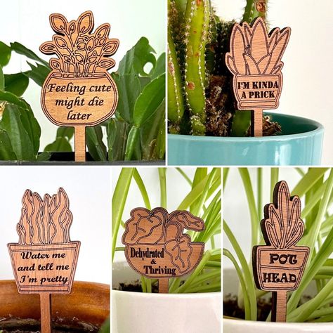 Funny Garden Plant Signs Five 5 Plant Stake Bundle Indoor | Etsy Plant Signs Funny, Funny Plant Markers, Plant Pot Decor, Acrylic Plant Stakes, Laser Plant Stakes, Engraved Spoons, Funny Plant Sayings Pots & Planters, Wood Stake, Pot Decor