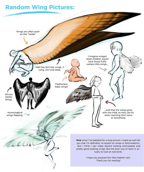 Drawing Tutorials Dump - Imgur Bird People Poses, Wing Poses Reference, Angel Wings Reference, Human Avian, Avian Reference, Winged Character Poses, Wings Drawing Reference, Avian Humanoid, Sapiens Book