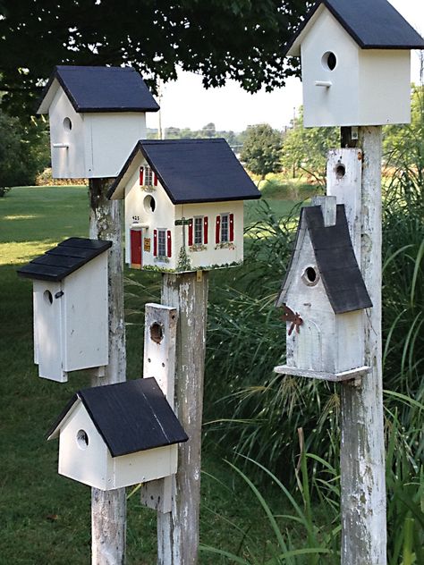 Birdhouse Village Birdhouse City, Bird House Village Backyards, Primitive Houses, Shrubs For Landscaping, Large Bird Houses, Bluebird House, Homemade Bird Feeders, Beautiful Birdhouses, Bird Houses Ideas Diy