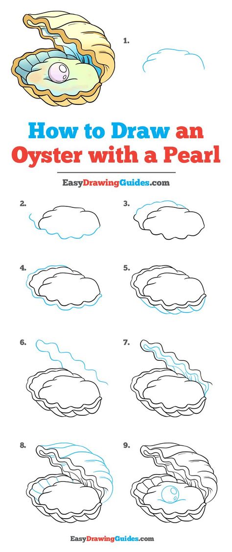 Learn How to Draw an Oyster with a Pearl: Easy Step-by-Step Drawing Tutorial for Kids and Beginners. #Oyster with a Pearl #drawingtutorial #easydrawing. See the full tutorial at https://easydrawingguides.com/how-to-draw-an-oyster-with-a-pearl/. Sea Shells Drawing Pencil, How To Draw An Aquarium, Oyster With Pearl Drawing, Shell Drawing Step By Step, How To Draw Shells, Under The Sea Drawing Easy, How To Draw Sea Creatures, Oyster Drawing, Under The Sea Drawing