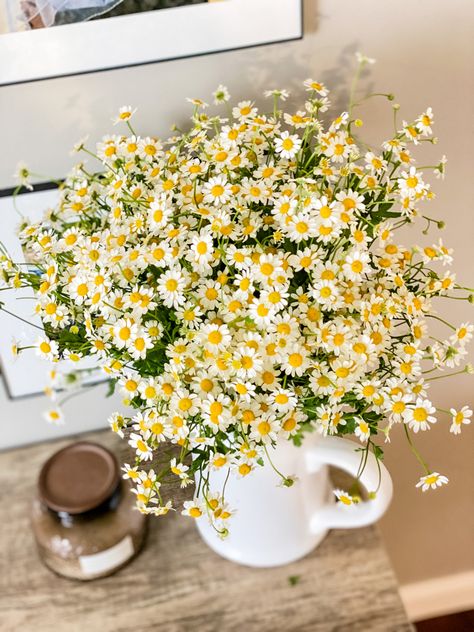 Chamomile Flower Bouquet, Chamomile Bouquet, Shower Vibes, Herb Bouquet, Bouquets Diy, Collection Board, Cute Bakery, Chamomile Flower, Bedroom Redo