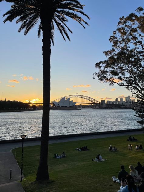 #sydney #operaHouse #harbourbridge #australia #aesthetic #green #picnic #evening Sydney Australia Travel Aesthetic, Australia Aesthetic Sydney, Syd Core, Sydney Australia Aesthetic, Aesthetic Sydney, Australian Aesthetic, Sydney Aesthetic, Sydney Winter, Sydney Summer