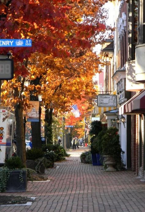 Autumn In The City, Old Town Alexandria Va, Phuket City, Dubrovnik Old Town, Autumn Street, George Town, Old Town Alexandria, Alexandria Virginia, Virginia Is For Lovers