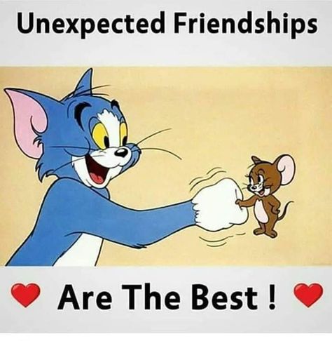 #tom and jerry#cartoon Tom And Jerry Quotes, Tom And Jerry Gif, Tom And Jerry Photos, Friendship Day Wishes, Tom And Jerry Pictures, Tom And Jerry Wallpapers, Jerry Cartoon, Funny Tom, Tom And Jerry Cartoon