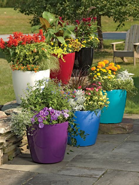 multiple large round rolling plastic self-watering flower pots in various colors in a patio garden Planters Outdoor, Hydrangea Care, Flower Pot Design, Self Watering Pots, Large Flower Pots, Container Gardening Flowers, Patio Planters, Tall Planters, Square Planters