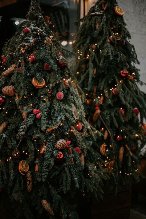 Christmas Lockscreen, Christmas Tables, Dark Christmas, Christmas Tree Inspiration, Natural Christmas, Victorian Christmas, Christmas Mood, Christmas Aesthetic, Cozy Christmas