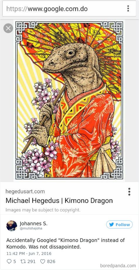 10+ Times People Accidentally Googled The Wrong Thing, And The Results Were Hilarious Kimono Dragon, John Kenn, Dragon Images, History Humor, Komodo, Weird Pictures, Best Funny Pictures, Funny People, Popular Memes