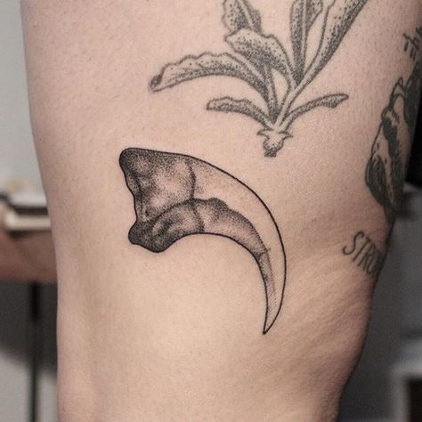 Velociraptor Claw Tattoo Tattoo Dinosaur, Velociraptor Claw, Raptor Claw, Jurassic Park Tattoo, Claw Tattoo, Dinosaur Claw, Anniversary Tattoo, Horrible Tattoos, Master Tattoo