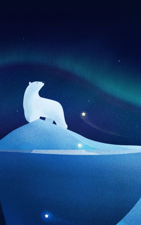 Screen Wallpaper White, Northern Lights Artwork, Polar Bear Wallpaper, Artwork Wallpaper, White Polar Bear, Bear White, Wallpaper White, Bear Illustration, Winter Animals