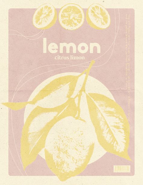 One in a series of fruit plant-inspired poster designs 🍋 Lemon Poster, Room Signage, Fruit Poster, Poster Inspiration, Festival Flyer, Poster Designs, Fruit Plants, Room Posters, Inspiration Board