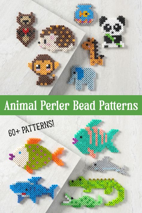 Animal lovers, you're going to love these 60+ perler bead patterns! These animal perler beads include mammals, fish, reptiles, amphibians, birds, and more. Perler Bead Lizard Pattern, Easy Beads Patterns, Melty Bead Animals, Perler Beads Dolphin, Baby Shark Perler Bead Pattern, Small Animal Perler Bead Patterns, Perler Bead Cow Pattern, Peeler Bead Animals, Perler Bead Animal Patterns