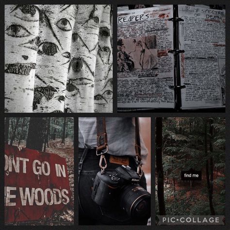 Cryptid Matching Pfp, Crypid Core, Cryptozoology Aesthetic, Cryptid Core Aesthetic, Criptyd Core, Cryptid Moodboard, Cryptid Aesthetic Outfit, Conspiration Theory Aesthetic, Cryptid Hunter Aesthetic