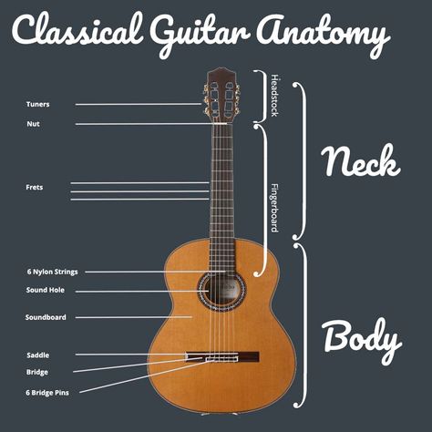 As a beginner, it can be very difficult to work out which type of guitar is best for your own needs, and even if you have established that the classical guitar is for you, how do you decide which to buy? Different Guitar Types, Type Of Guitar, Parts Of Guitar, Parts Of The Guitar, Different Types Of Electric Guitars, Types Of Guitars, How To Play Classical Guitar, Best Guitar For Beginners, Classical Guitar Lessons