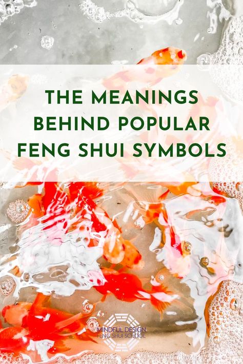 Bright red and orange fish viewed from above. Dark green text says "The meanings behind popular feng shui symbols." Feng Shui Fire Element Decor, Feng Shui Metal Element, Feng Shui Water Element, Dragon Meaning, Phoenix Feng Shui Wallpaper, Feng Shui Dragon, Feng Shui Energy Map, Feng Shui Symbols, Dragon Quotes