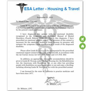 ESA Letter for Airlines & Housing – United Support Animals Micro Teacup Poodle, Esa Letter, Therapy Dog Training, Teacup Poodle, Support Letter, Reading Food Labels, Tea Cup Poodle, Curly Willow, Emotional Support Dog