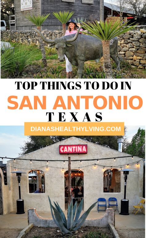 Things To Do In San Antonio Texas, San Antonio Attractions, San Antonio Travel, San Antonio Things To Do, San Antonio Vacation, Texas Attractions, Visit San Antonio, Texas Vacation, Texas Trip