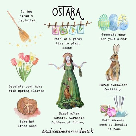 Spring Flowers Names, Spring Equinox Ritual, Ostara Ritual, Wicca Holidays, Witches Wheel, Wiccan Sabbats, Balance In Life, Witch Spirituality, Vernal Equinox