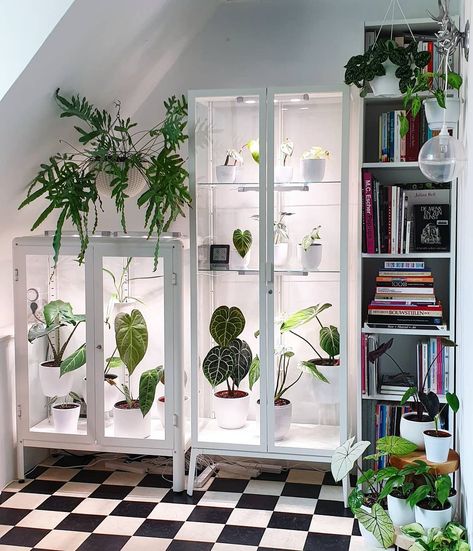 One of the more genius uses of IKEA's Fabrikör cabinet is completely hacking the cabinet into an indoor greenhouse. Voxtorp Ikea, Plant Cabinet, Greenhouse Cabinet, Ikea Greenhouse, Mini Serre, Plant Room Ideas, Indoor Greenhouse, Plant Room, Greenhouse Ideas