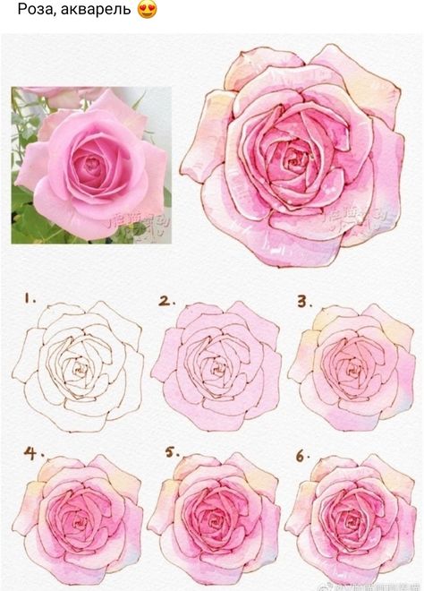 Rose Tree Drawing, Rose Painting Tutorial, Rose Drawing Ideas, Draw A Rose, Realistic Rose, Flower Drawing Tutorials, Watercolor Flowers Tutorial, Flower Art Drawing, Watercolor Lessons