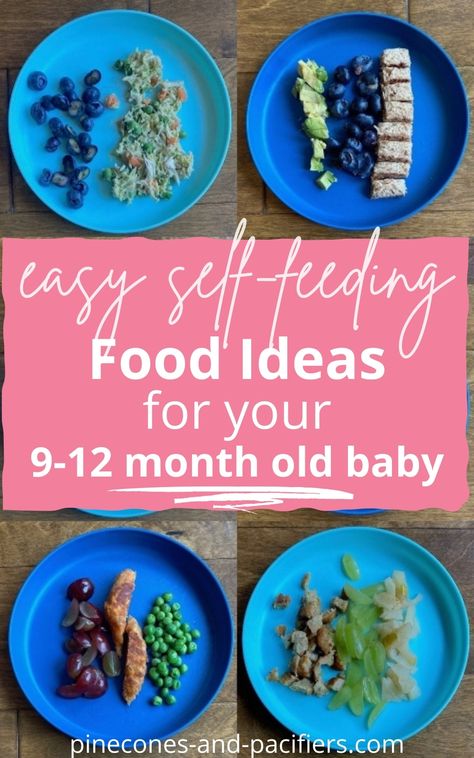 9 Months Old Food Ideas, 9 Month Finger Food Ideas, Feeding 9 Month Old, Easy Food For 9 Month Old, 9 Month Old Meals Ideas, Dinner Ideas For 11 Month Old, Meal Idea For 9 Month Old, Meals 10 Month Old, Foods For 12 Month Old Baby