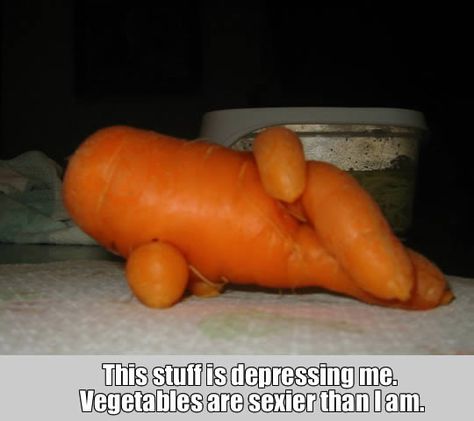 Carrot Memes Funny, Carrot Puns, Funny Vegetables, Funny Fruit, Wonderful Life, Joan Rivers, Sarcasm Humor, The Body Shop, Net Worth