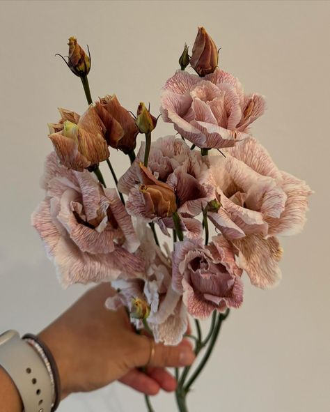 A closer look at some of the beautiful blooms that went into this arrangement 💕 Japanese ranunculus! Brown lisianthus! Mokara orchids! #sfflorist #bayareaflorist #blooms #floraldesign #floralarrangement #bouquets #eventflorals #eventflorist #weddingflorals #flowers #ihavethisthingwithflowers #iloveflorists Japanese Ranunculus, Brown Lisianthus, Mokara Orchids, Ranunculus, Beautiful Blooms, Floral Wedding, Instagram A, Floral Arrangements, Florist