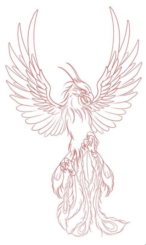 Phoenix Outline Drawing, Phoenix Drawing Tattoo, Phoenix Outline Tattoo, Phoenix Drawing Simple, Phoenix Art Drawing, Phoenix Tattoo Stencil, Fenix Tattoo Design, Phoenix Tattoo Sketch, Phoenix Stencil