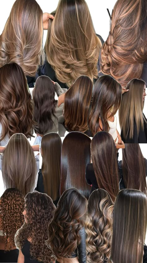 Hazel Hair Color Highlights, Expensive Hair Color, Type Of Brown Hair Shades, Milk Chocolate Highlights Brown Hair, Full Head Of Highlights On Dark Brown Hair, Hazel Nut Hair Color Highlights, How To Get Natural Highlights For Brown Hair, Dark Hair Dimension, Brown Hair Outfit Ideas