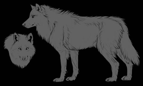 Ych Drawing Base, Wolf Drawing Sketch, Wolf Side View, Wolf Tutorial, Dog Base, Bg Illustration, Iron Banner, F2u Base, Draw A Wolf