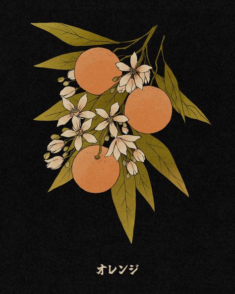 果物　🍓🍊🍎🍋 I wanted to draw flowers originally, but then I came across a pretty photo of oranges and I was like „omg fruit!!1“ 😌 Random fact: ripe apples and apple blossoms in full bloom do not exist at the same time irl. Afaik it only happens when the tree is stressed? (Correct me if I’m wrong, plant people) However it’s very MilkyHeaven™️ to draw stressed apples I guess. - - - - - #fruitdrawing #botanicalart #botanicalillustration Orange Blossom Tree, Orange Tree Blossom, Orange Tree Drawing, Orange Blossom Drawing, Fruits Drawing, Orange Tree, Tree Drawing, Apple Tree, Apple Blossom