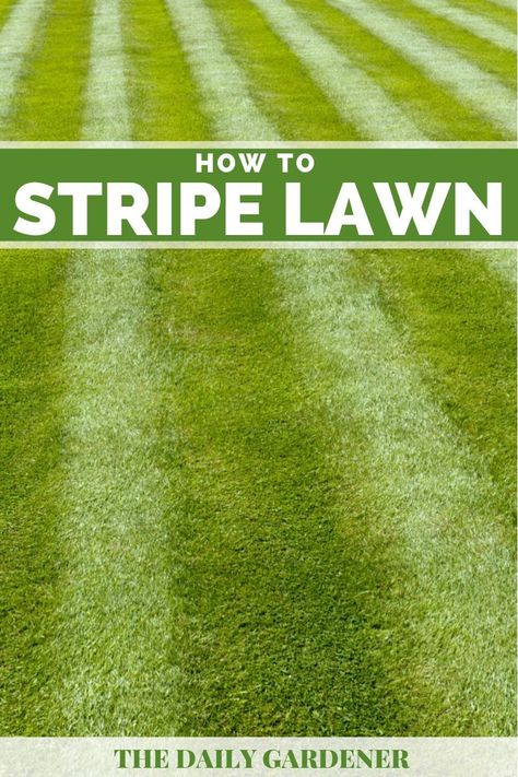 How to Stripe a Lawn? (6 Tips) How To Mow Stripes In Lawn, Lawn Striping Kit Diy, Diy Lawn Striper, Lawn Striping Kits, Best Lawn Edger, Backyard Hacks, Lawn Striping, Lawn Roller, No Mow Grass