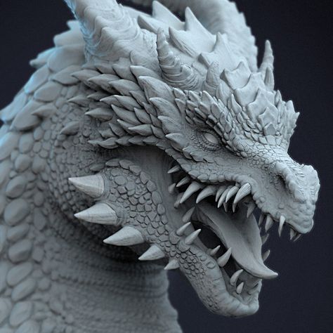 Dragon Bust sketch, Jas Dhatt on ArtStation at https://www.artstation.com/artwork/GXxQZ4 Tiamat Dragon, Dragon Anatomy, Dragon Face, Dragon Artwork Fantasy, Clay Dragon, Dragon Sculpture, Dragon Illustration, Kickstarter Campaign, Dragon Pictures