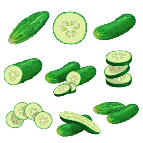 Cucumber Tattoo, Salad Painting, Cucumber Illustration, Cucumber Art, Farm Vegetables, Premium Vector Cartoon, Mini Cucumbers, Identity Project, Vector Cartoon