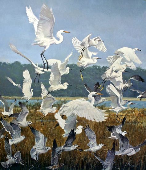 Matthew Hillier "Marsh Uprising" 2012 | Matthew Hillier [Eng… | Flickr Watercolour Birds, Wildlife Landscape, Shore Birds, Bird Images, Painting Birds, For Educational Purposes Only, Animal Portraits Art, West Art, Art Study