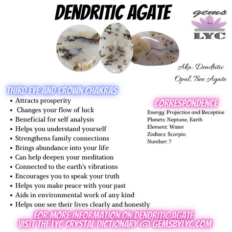 Dendritic Opal Crystal Meaning, Dendritic Opal Meaning, Orca Agate Meaning, Dendritic Agate Meaning, Holistic Witch, Agate Types, Types Of Agate, Crystal Cards, Crystal Identification