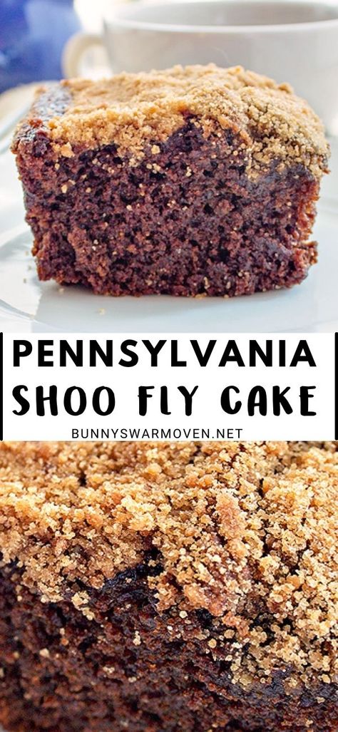 Shoefly Cake Pennsylvania Dutch, Pa Dutch Desserts, Baked Bean Cake, Shoe Fly Cake Recipe, Amish Shoo Fly Pie Recipe, Shoo Fly Pie Recipe Pennsylvania Dutch, Pennsylvania Dutch Recipes Desserts, Shoefly Cake, Pinto Bean Cake 1955