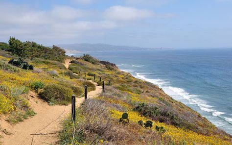 The top 5 hikes in #SanDiego #health #wellness #fitness #exercise   #healthyliving Camp Pendleton California, Camp Pendleton, Bridge City, Torrey Pines, Free Art Print, Hiking Spots, Balboa Park, Free Art Prints, Tap Room