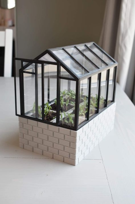 3d Printed Greenhouse, Mini Greenhouse Ideas, Green House Model, Diy Mini Greenhouse, Science Exhibition Projects, Miniature Greenhouse, Craft Show Booths, Flower Shop Design, Drukarka 3d