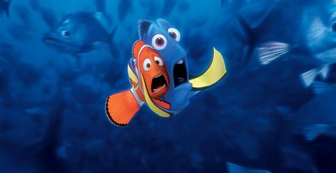 Scared Nemo Wallpaper, Dory And Marlin, Dory Finding Nemo, Finding Nemo 2003, Disney Finding Nemo, Film Disney, Whatsapp Wallpaper, Finding Dory, Disney Favorites