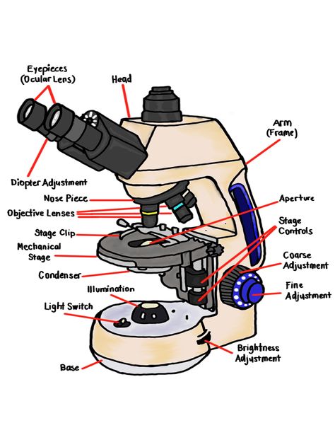 I made this for school and I want to share it with you all Compound Microscope, Light Switch, School Stuff, To Share, Share It