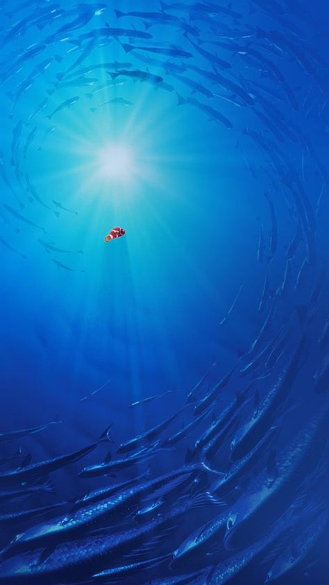 Nemo From Finding Dory Wallpaper Nemo Wallpaper, Disney Finding Nemo, Images Disney, Wallpaper Disney, Disney Background, Disney Iphone, Iphone 6 Wallpaper, Disney Phone Wallpaper, Wallpaper Iphone Disney