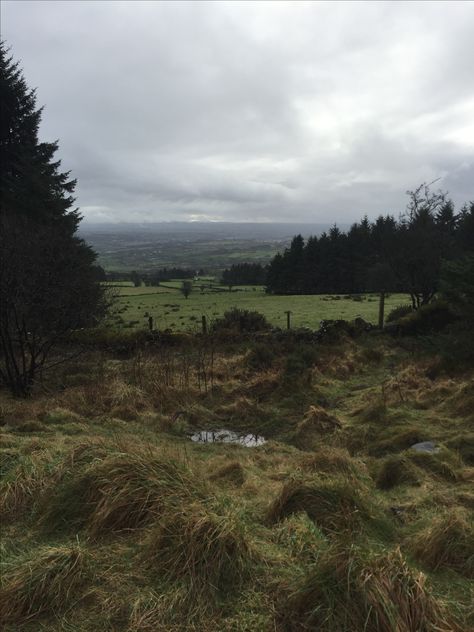 English Forest Aesthetic, Medieval Ireland Aesthetic, Ireland Winter Aesthetic, Dark Ireland Aesthetic, Northern England Aesthetic, Rural Ireland Aesthetic, Northern Europe Aesthetic, Northern Ireland Aesthetic, Rainy Ireland