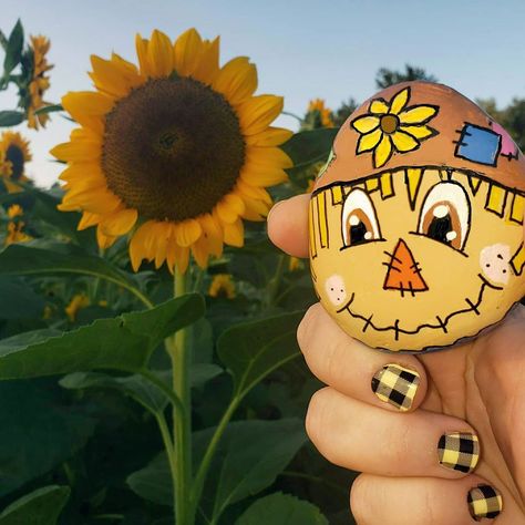 Creativity for Days ☀️ on Instagram: “Scarecrow painted rock🌻 #halloweenrocks #scarecrowrocks #scarecrow #halloween #sunflowerfield #sunflower #paintedrock #paintedrocks…” Gnome Rock Painting Ideas, Gnome Rock Painting, Fall Painted Rocks, Scarecrow Gnome, Scarecrow Painting, Scarecrow Halloween, Halloween Rocks, Rock Painting Ideas, Painted Rocks Diy