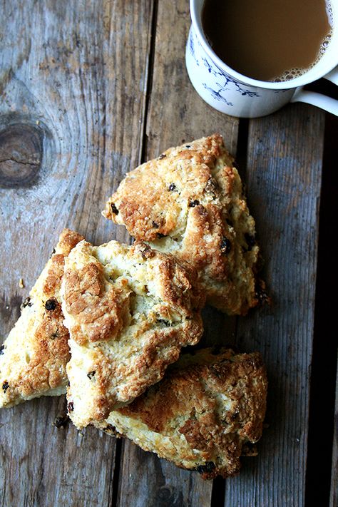 Tartine's Currant Scones Currant Scones Recipe, Scones Lemon, Currant Scones, Tartine Bakery, Buttermilk Blueberry, Berry Scones, Peasant Bread, Blueberry Breakfast Cake, Blueberry Breakfast