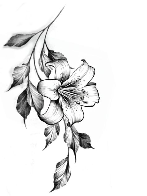 Lily Rib Tattoo, Lilly Flower Drawing, Arm Flower Tattoo, Lilly Tattoo Design, Stargazer Lily Tattoo, Tiger Lily Tattoos, Lillies Tattoo, Lily Flower Tattoos, Daffodil Tattoo