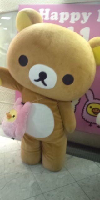 Rilakuma Wallpapers Aesthetic, Korilakkuma Wallpaper, Rilakkuma Plushie, 트위터 헤더, Rilakkuma Plush, Rilakkuma Wallpaper, Preppy Stickers, Iphone Wallpaper Kawaii, Kawaii Core