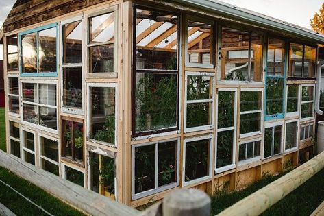 Upcycled Window Greenhouse, Repurposed Window Greenhouse, Old Window Greenhouse Diy, Recycled Window Greenhouse, Recycled Greenhouse, She Shed Greenhouse, Old Window Greenhouse, Window Greenhouse, Victorian Greenhouses