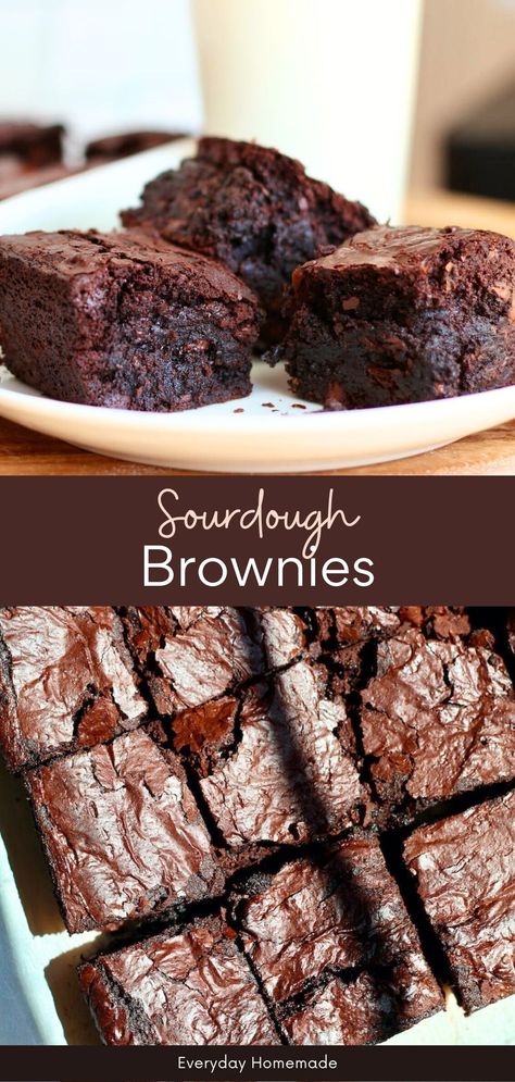 Sourdough Discard Brownies Discard Brownie Recipe, Discard Sourdough Desserts, Sourdough Discard Brownie Recipes, Sourdough Brownies Recipe, Discard Dessert Recipes, Sourdough Discard Recipes Dessert, Sourdough Discard Dessert Recipes, Sourdough Discard Dessert, Sourdough Dessert Recipes