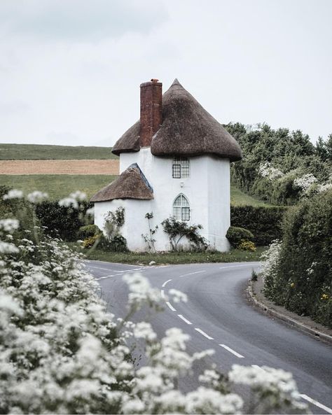 Casa Hobbit, Somerset England, Thatched Cottage, Thatched Roof, White Cottage, Cute House, Round House, Wedding Destination, English Countryside