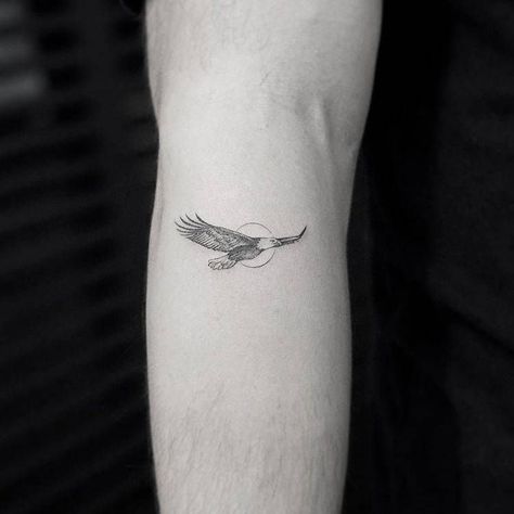 Eagle Tattoo Forearm, Small Eagle Tattoo, Bald Eagle Tattoos, Bird Tattoo Men, Vogel Tattoo, Hawk Tattoo, Bird Tattoo Wrist, Small Bird Tattoo, Single Needle Tattoo